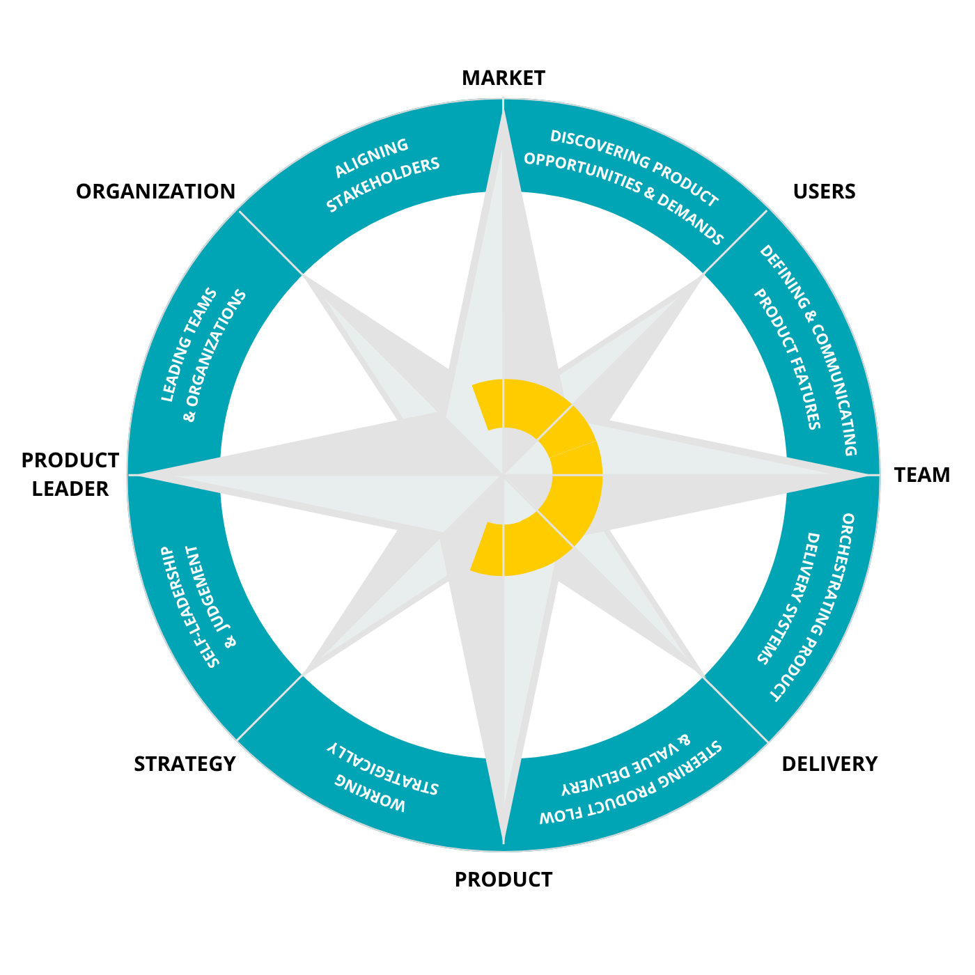 Product Owner Essentials compass
