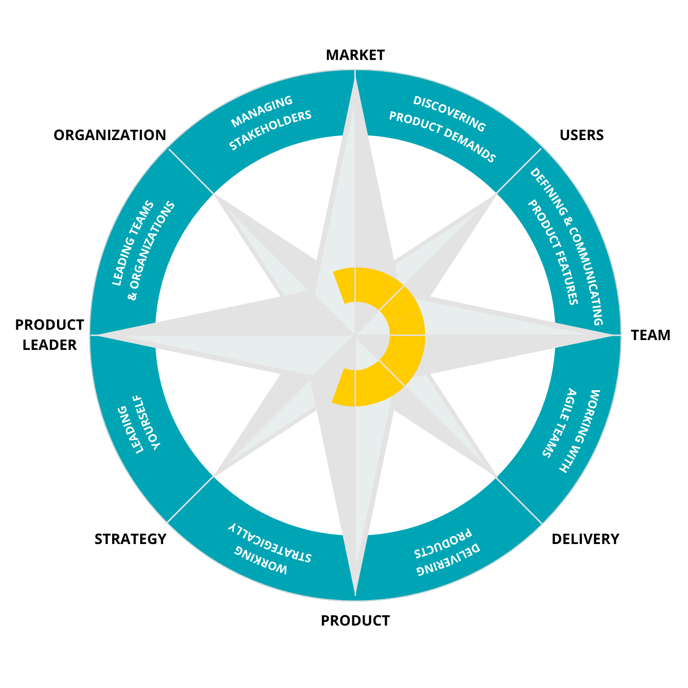 Product Owner Essentials compass