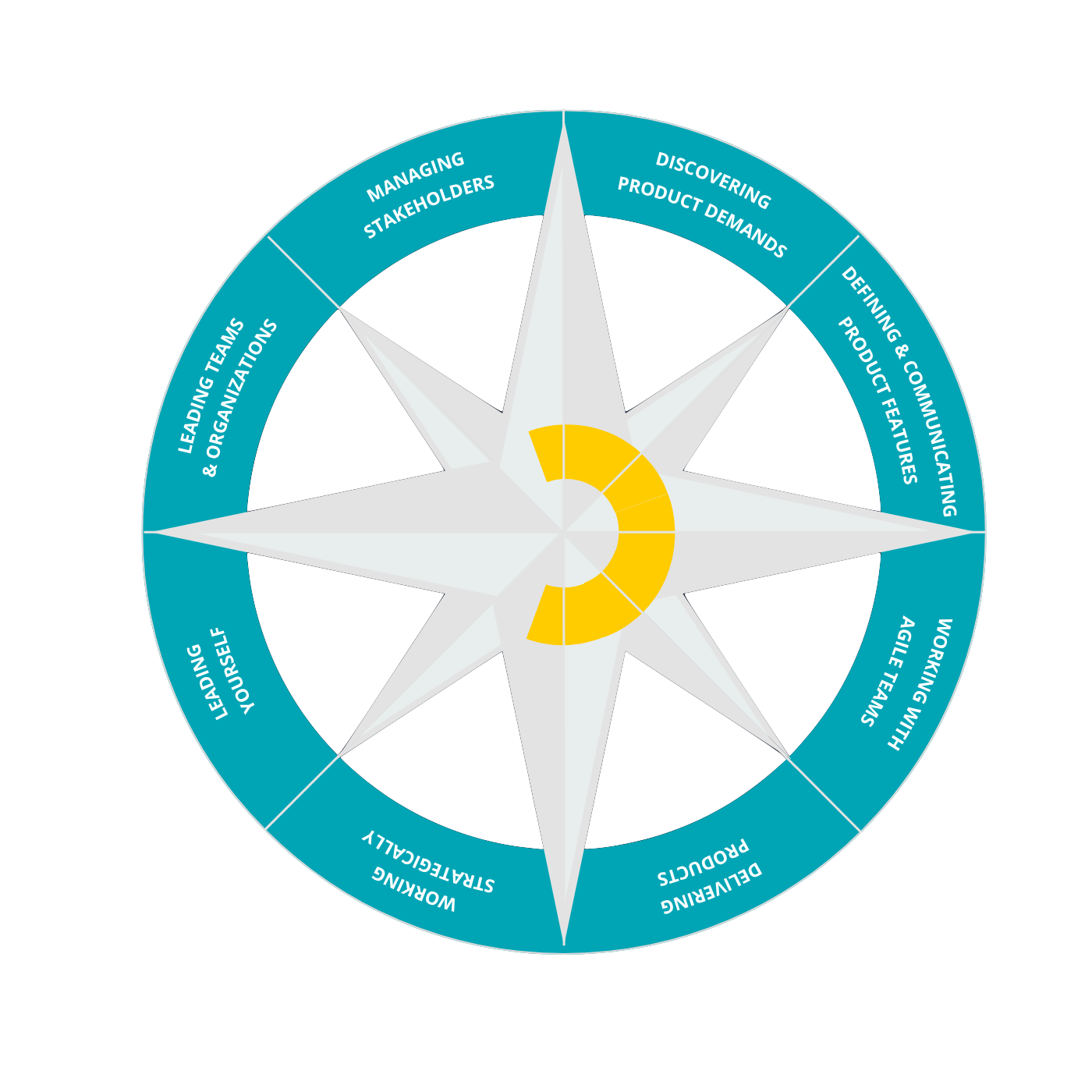 Product Owner Essentials compass